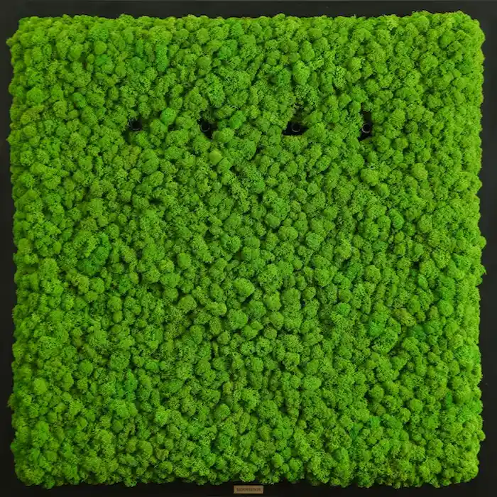 Heavens Breeze Luftbefeuchter Vergleich - Vorher Ansicht ohne Raumbefeuchter